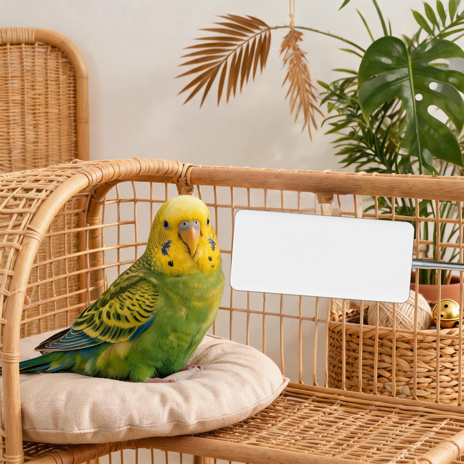 Smart Garden Bird Bath - Chauffe-Animal de Compagnie 5V Sûr, Équipement
