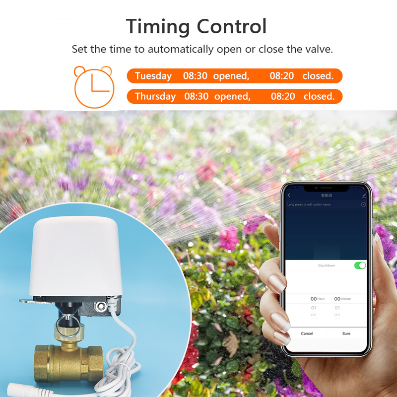 Vanne d'eau intelligente Tuya  - Smart Garden Zigbee avis et prix