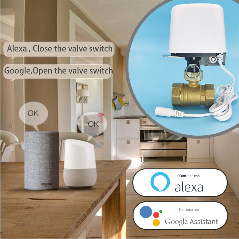 Vanne d'eau intelligente Tuya  - Smart Garden Zigbee avis et prix