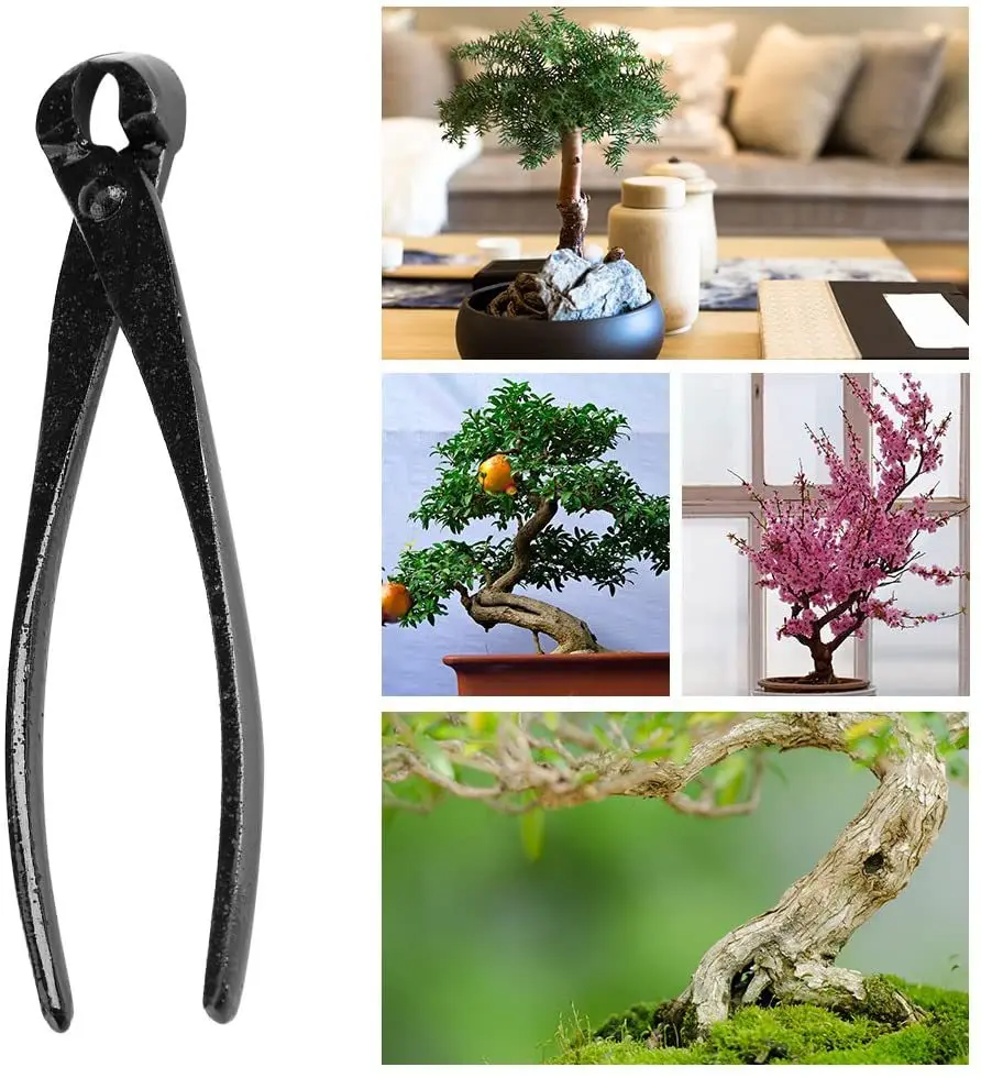 Coupe-bouton de bonsaï profess - Smart Garden Edging avis et prix