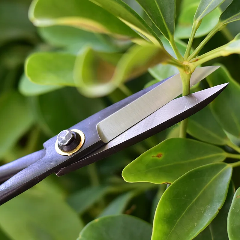 Coupe-bouton de bonsaï profess - Smart Garden Edging avis et prix