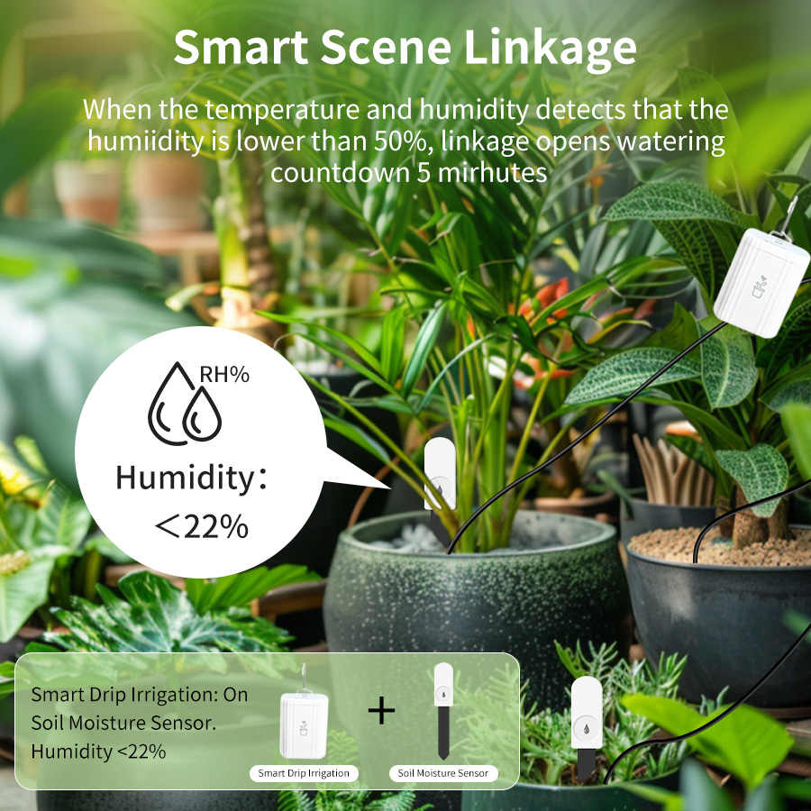 Testeur de sol intelligent Zig - Smart Garden Zigbee avis et prix