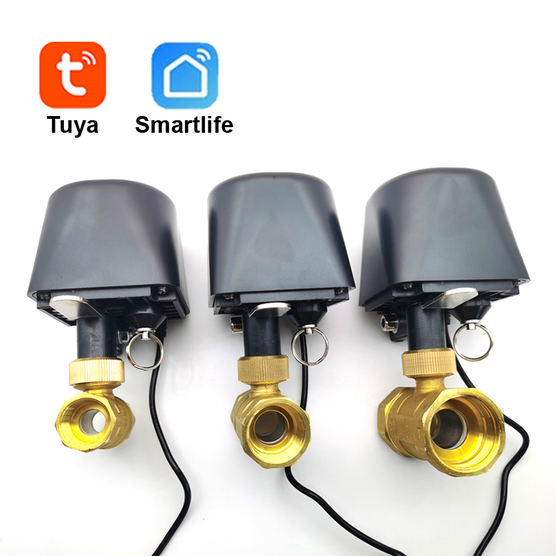 Tuya WiFi ou Zigbee vanne d'ea - Smart Garden Zigbee avis et prix